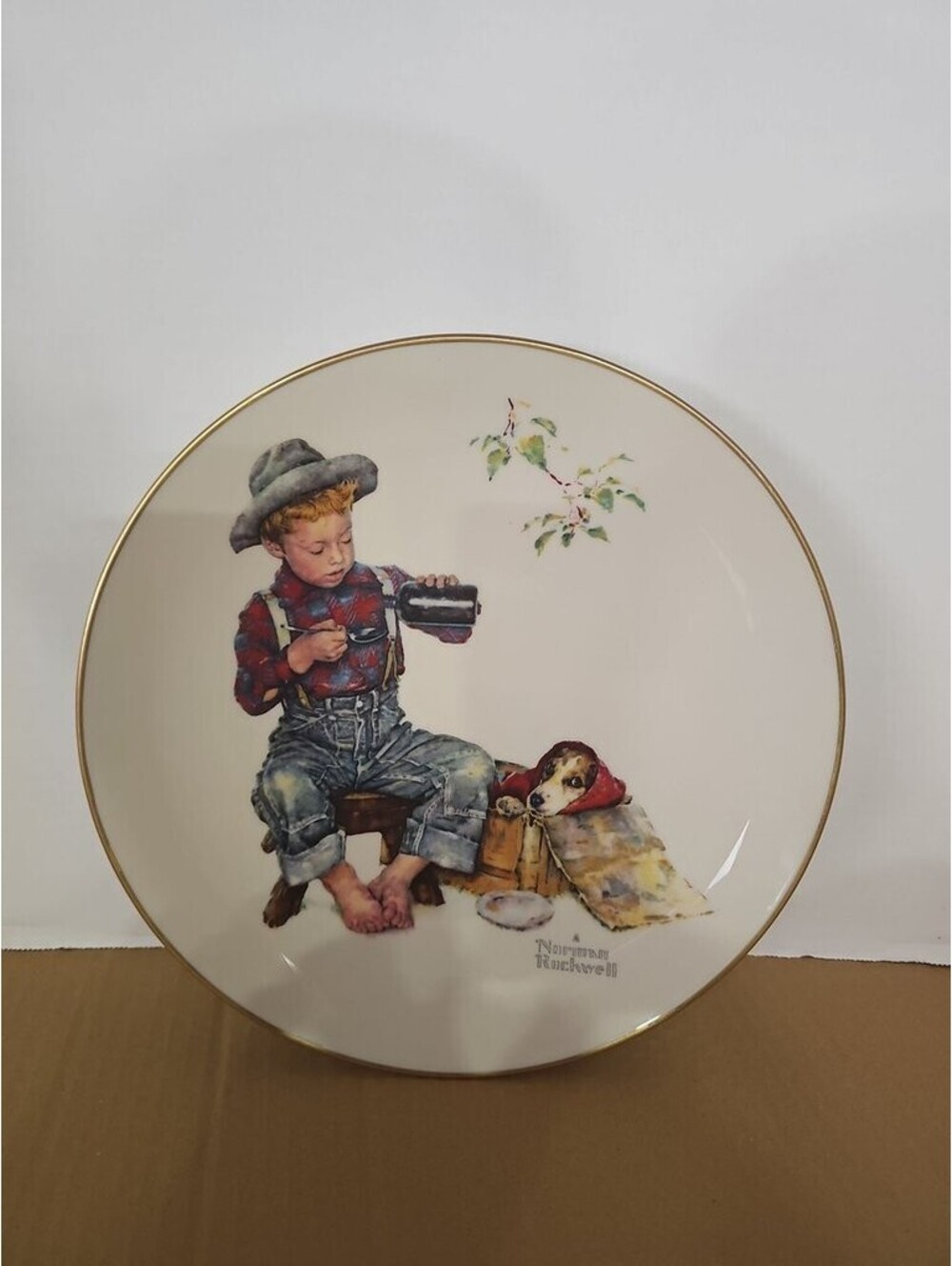Norman Rockwell 'The Mysterious Malady' Collector Plate